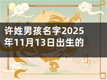 许姓男孩名字2025年11月13日出生的
