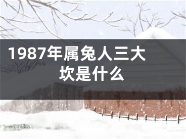 1987年属兔人三大坎是什么