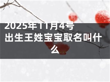 2025年11月4号出生王姓宝宝取名叫什么