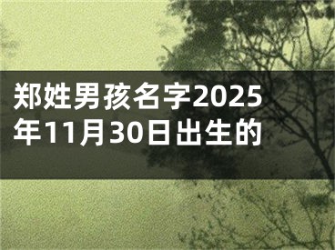郑姓男孩名字2025年11月30日出生的