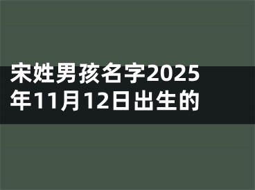 宋姓男孩名字2025年11月12日出生的