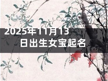 2025年11月13日出生女宝起名