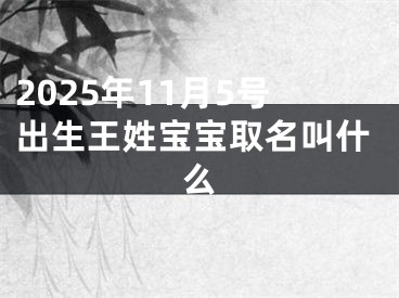 2025年11月5号出生王姓宝宝取名叫什么