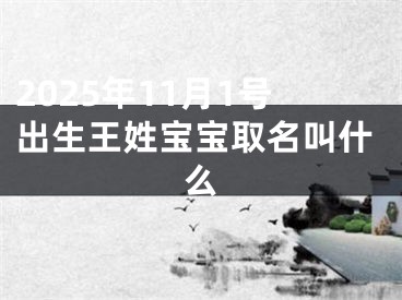 2025年11月1号出生王姓宝宝取名叫什么