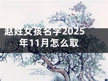 赵姓女孩名字2025年11月怎么取