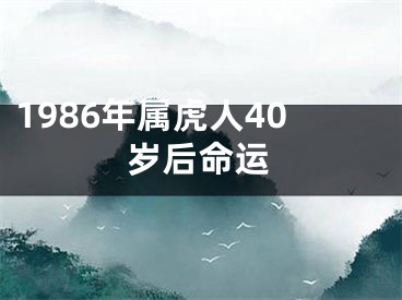 1986年属虎人40岁后命运