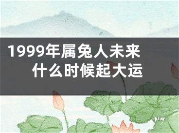 1999年属兔人未来什么时候起大运
