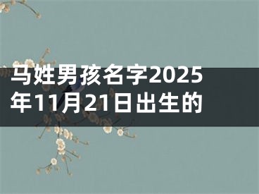 马姓男孩名字2025年11月21日出生的