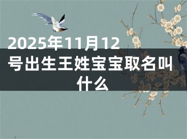 2025年11月12号出生王姓宝宝取名叫什么