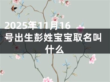 2025年11月16号出生彭姓宝宝取名叫什么