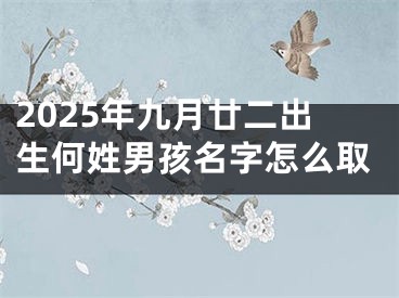 2025年九月廿二出生何姓男孩名字怎么取