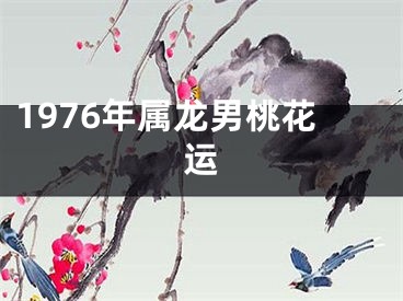 1976年属龙男桃花运