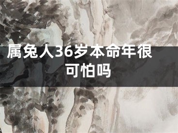属兔人36岁本命年很可怕吗