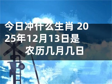 今日冲什么生肖 2025年12月13日是农历几月几日