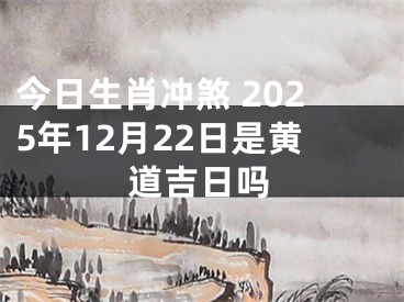 今日生肖冲煞 2025年12月22日是黄道吉日吗