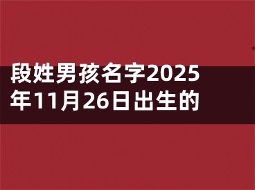 段姓男孩名字2025年11月26日出生的