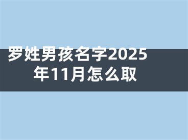 罗姓男孩名字2025年11月怎么取