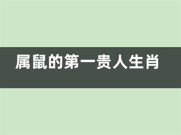 属鼠的第一贵人生肖