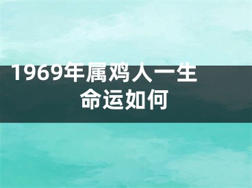 1969年属鸡人一生命运如何