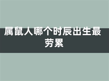 属鼠人哪个时辰出生最劳累