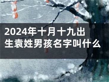 2024年十月十九出生袁姓男孩名字叫什么