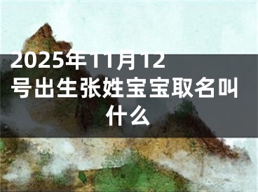 2025年11月12号出生张姓宝宝取名叫什么