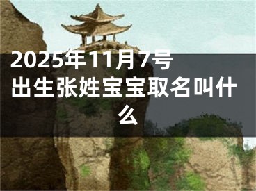 2025年11月7号出生张姓宝宝取名叫什么