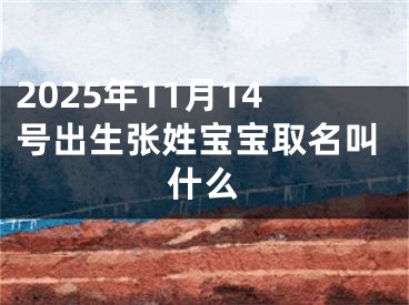 2025年11月14号出生张姓宝宝取名叫什么