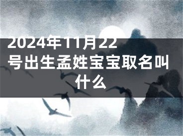 2024年11月22号出生孟姓宝宝取名叫什么
