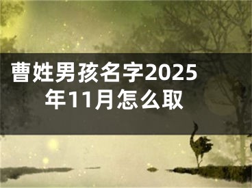 曹姓男孩名字2025年11月怎么取