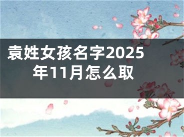 袁姓女孩名字2025年11月怎么取