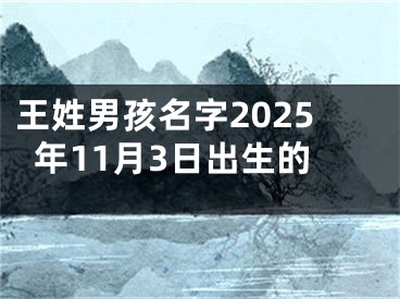 王姓男孩名字2025年11月3日出生的