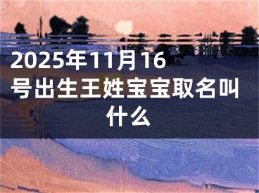 2025年11月16号出生王姓宝宝取名叫什么