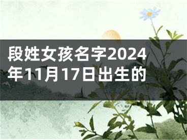 段姓女孩名字2024年11月17日出生的