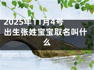 2025年11月4号出生张姓宝宝取名叫什么