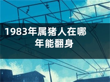 1983年属猪人在哪年能翻身