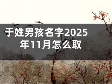 于姓男孩名字2025年11月怎么取
