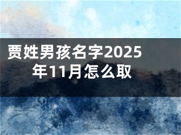 贾姓男孩名字2025年11月怎么取