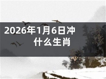 2026年1月6日冲什么生肖