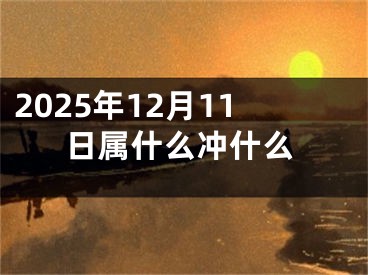 2025年12月11日属什么冲什么