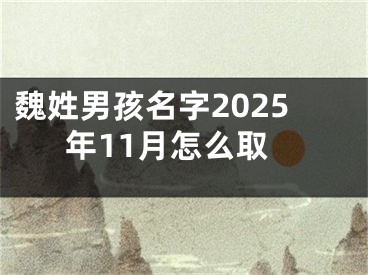 魏姓男孩名字2025年11月怎么取