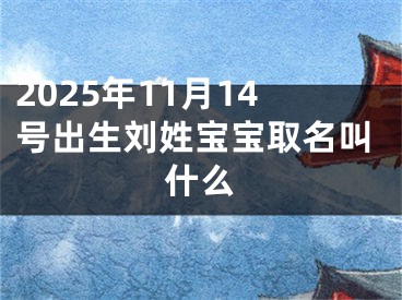 2025年11月14号出生刘姓宝宝取名叫什么