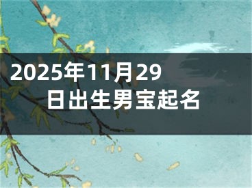 2025年11月29日出生男宝起名