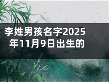 李姓男孩名字2025年11月9日出生的