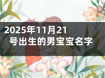 2025年11月21号出生的男宝宝名字