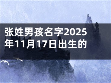 张姓男孩名字2025年11月17日出生的
