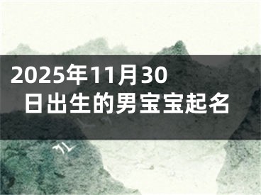 2025年11月30日出生的男宝宝起名