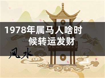 1978年属马人啥时候转运发财