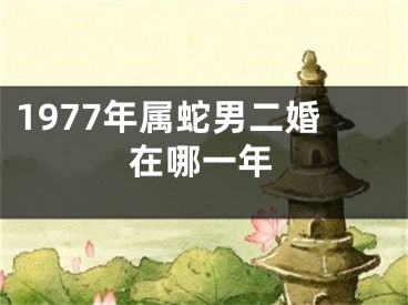 1977年属蛇男二婚在哪一年