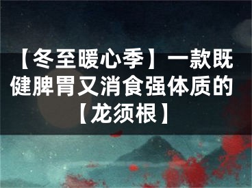 【冬至暖心季】一款既健脾胃又消食强体质的【龙须根】